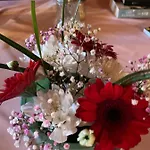 Отель Alpenhotel Pfaffenwinkel