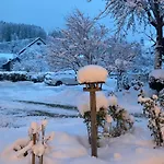 Отель Alpenhotel Pfaffenwinkel 3*